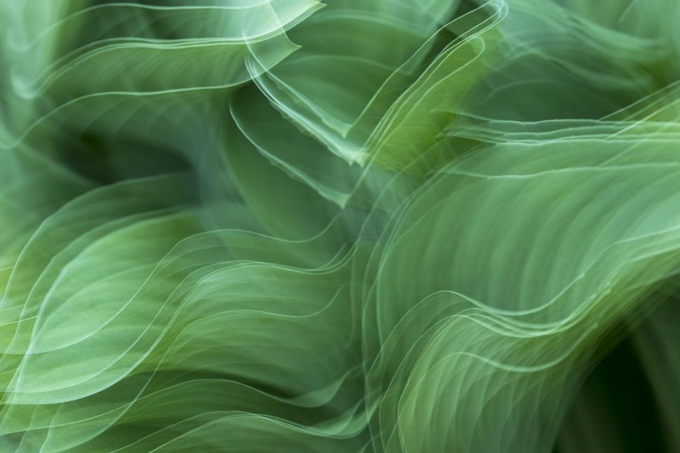 Free Image of Abstract green leaves creating a flowy and calming effect. 