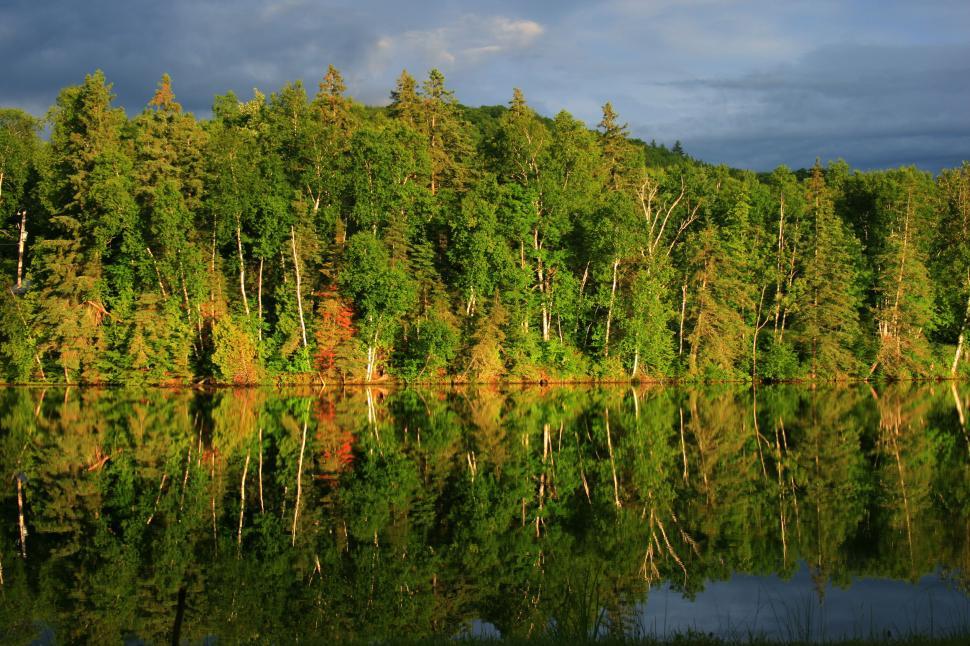 Free Image of Serene forest reflected on the calm lake surface at sunset. 