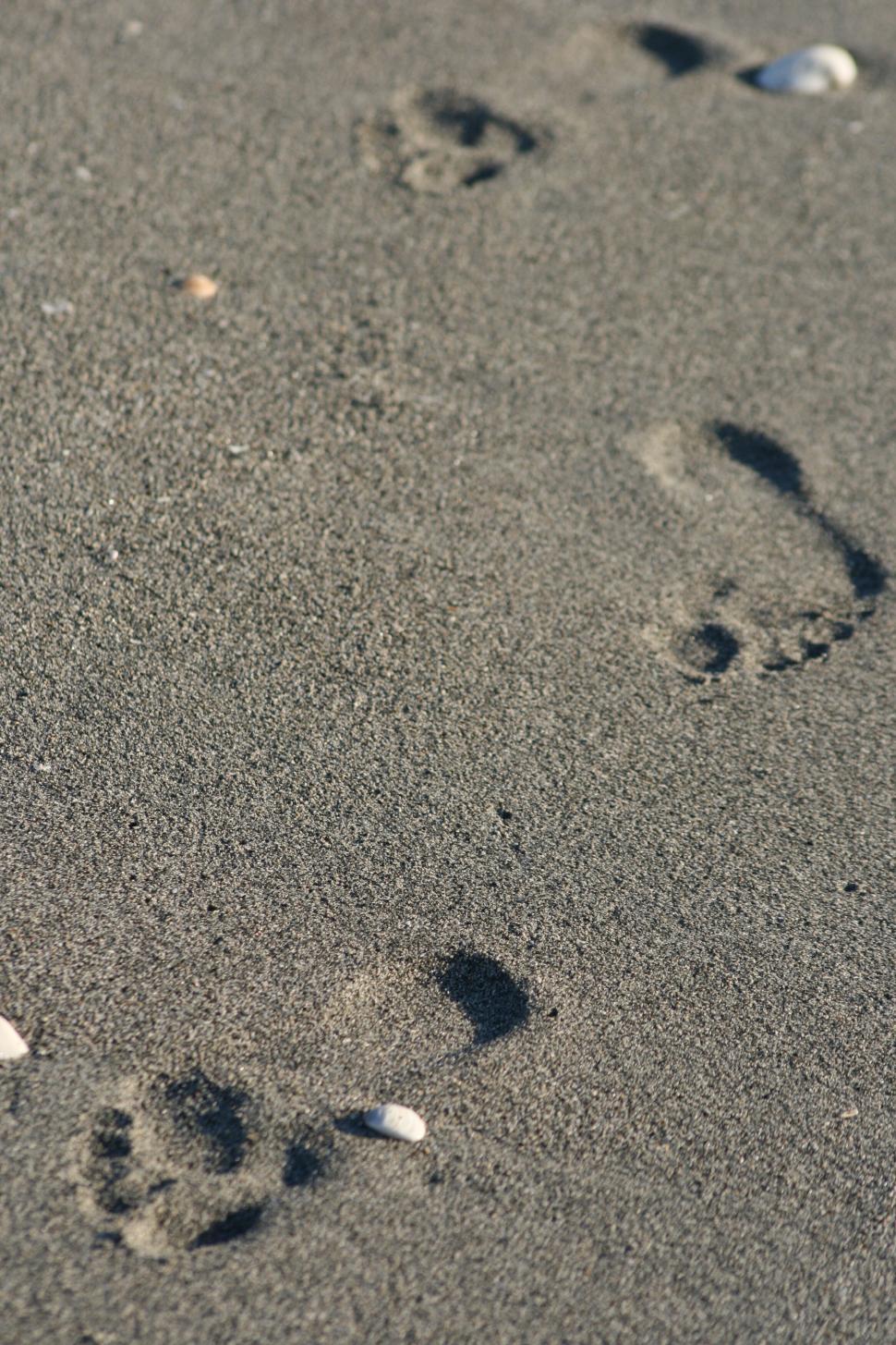 Free Image of Footprints on a sandy beach leading towards the horizon. 