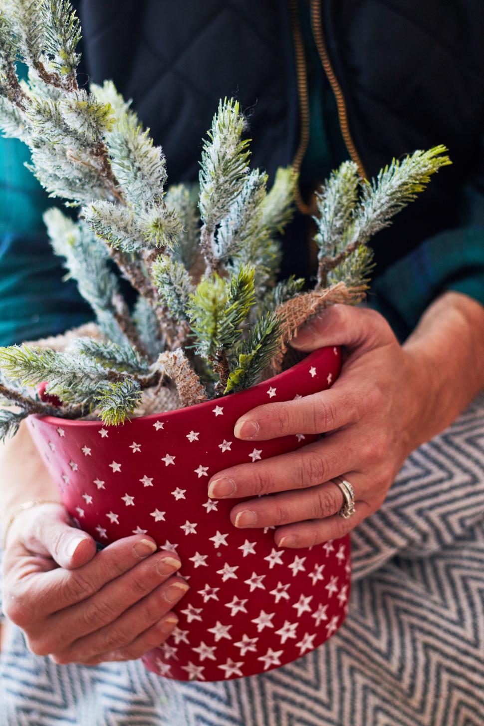 Free Image of Hands holding potted plant with festive red pot decor. 