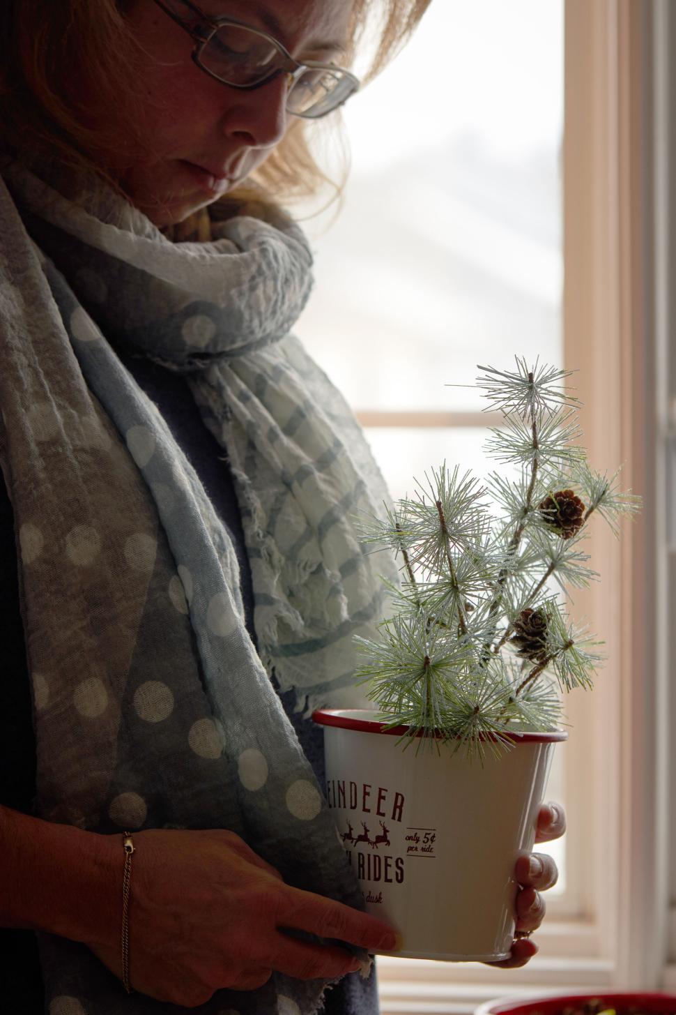 Free Image of Person holding small potted pine tree decorated festively 