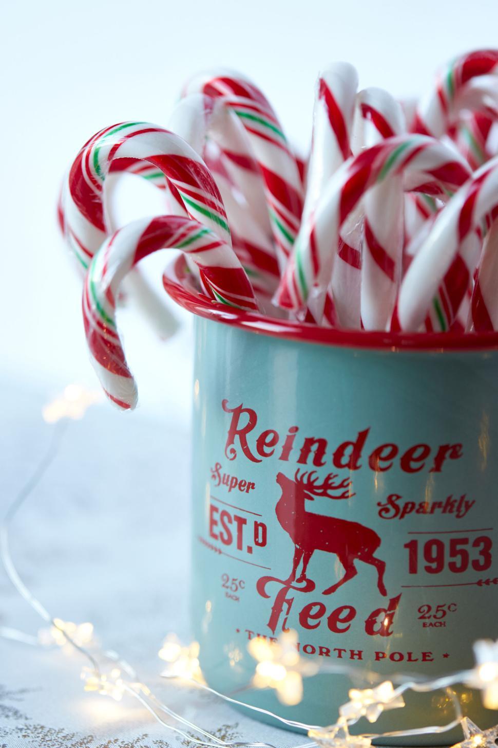 Free Image of Candy canes in festive mug with fairy lights around it. 