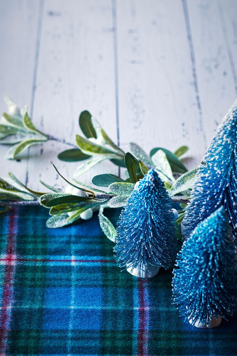 Free Image of Miniature blue Christmas trees on a plaid cloth, festive. 