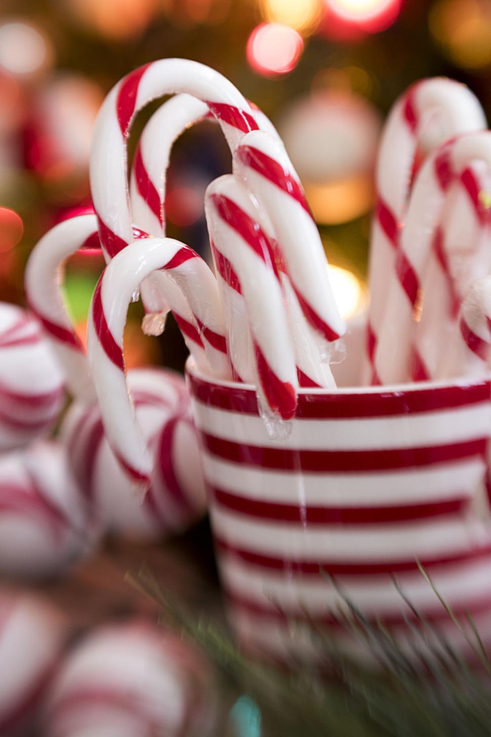 Free Image of Festive candy canes displayed in a striped mug, close-up view. 