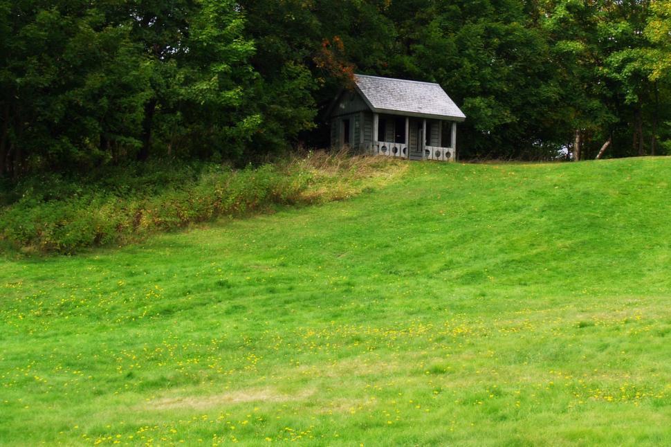 Free Image of Park Field 