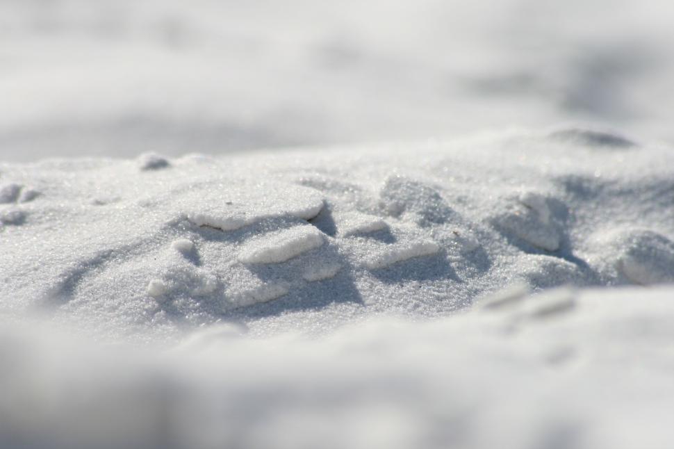 Free Image of Close view of snow on ground showing detailed texture 