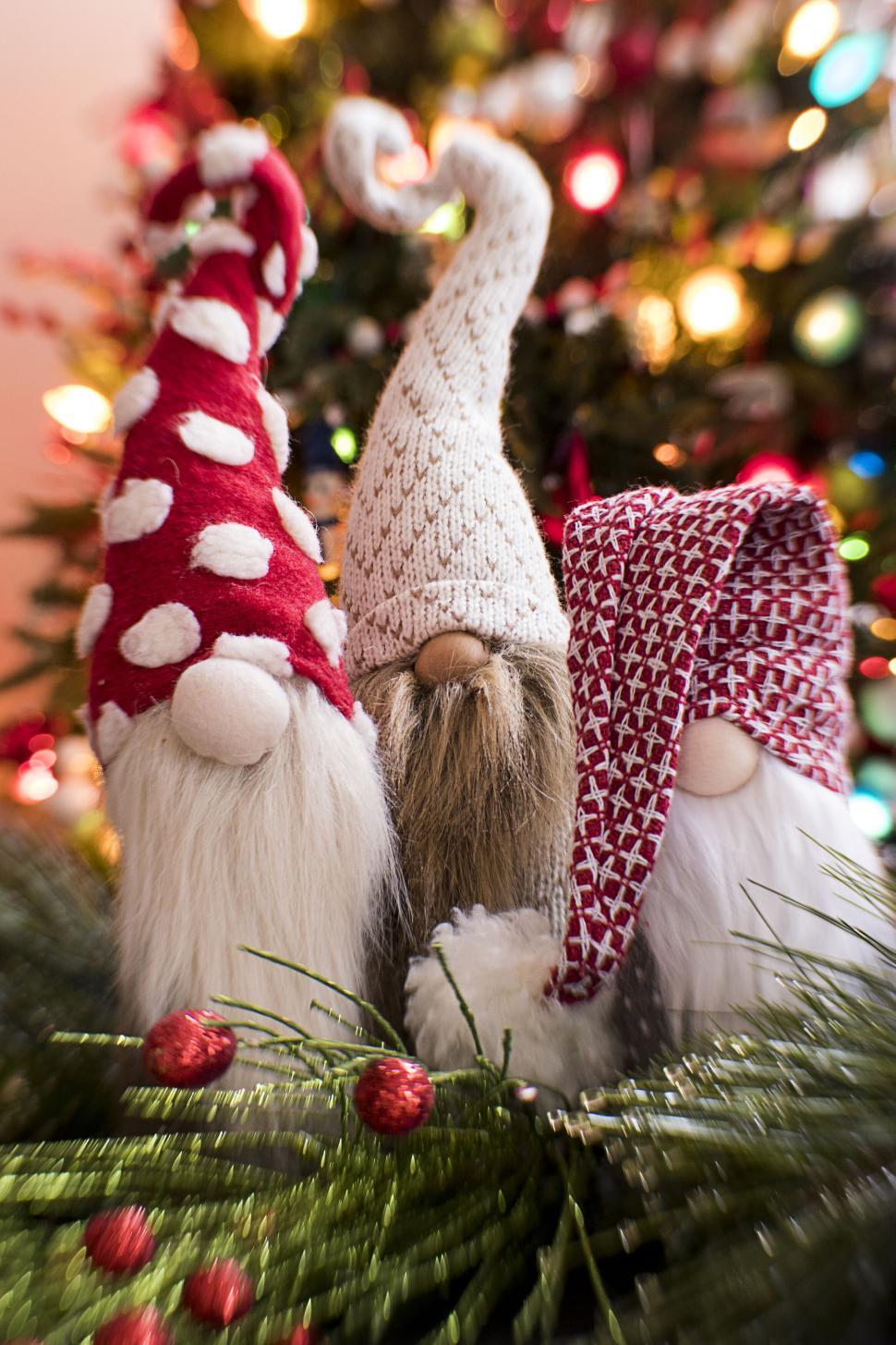 Free Image of Three whimsical holiday gnomes with festive background 