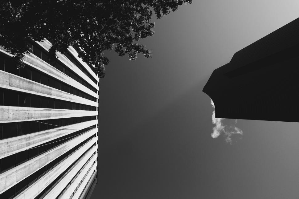 Free Image of Black and white view of two modern skyscrapers in city 