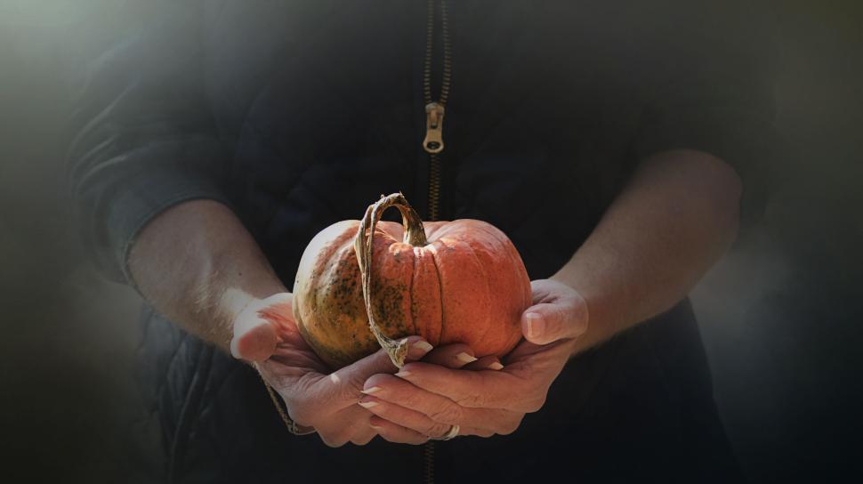 Free Image of Hands holding a peculiar shaped pumpkin in dark light. 