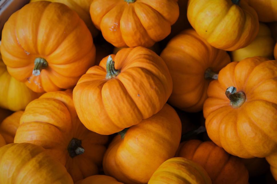 Free Image of Stack of bright orange pumpkins in close-up view 