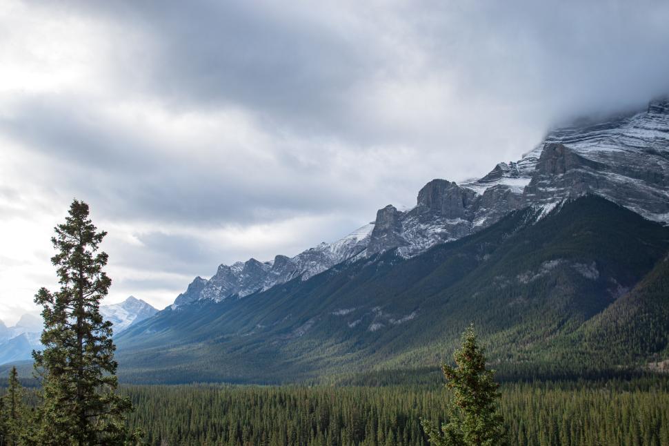 Free Image of Mountain landscape with pine trees and cloudy sky. 
