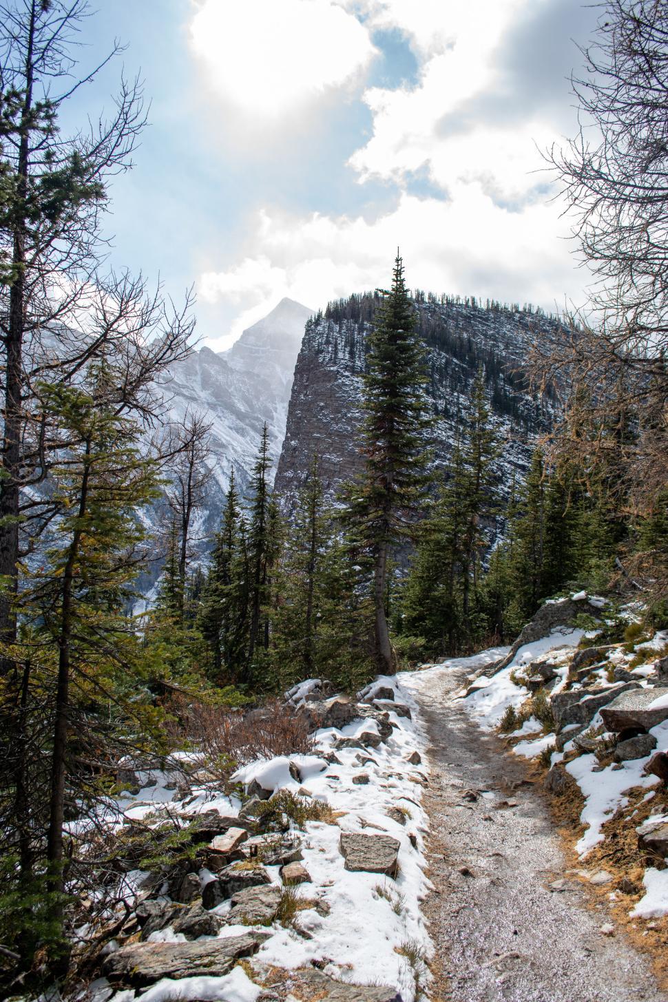 Free Image of Snowy path in mountain forest with towering cliffs. 