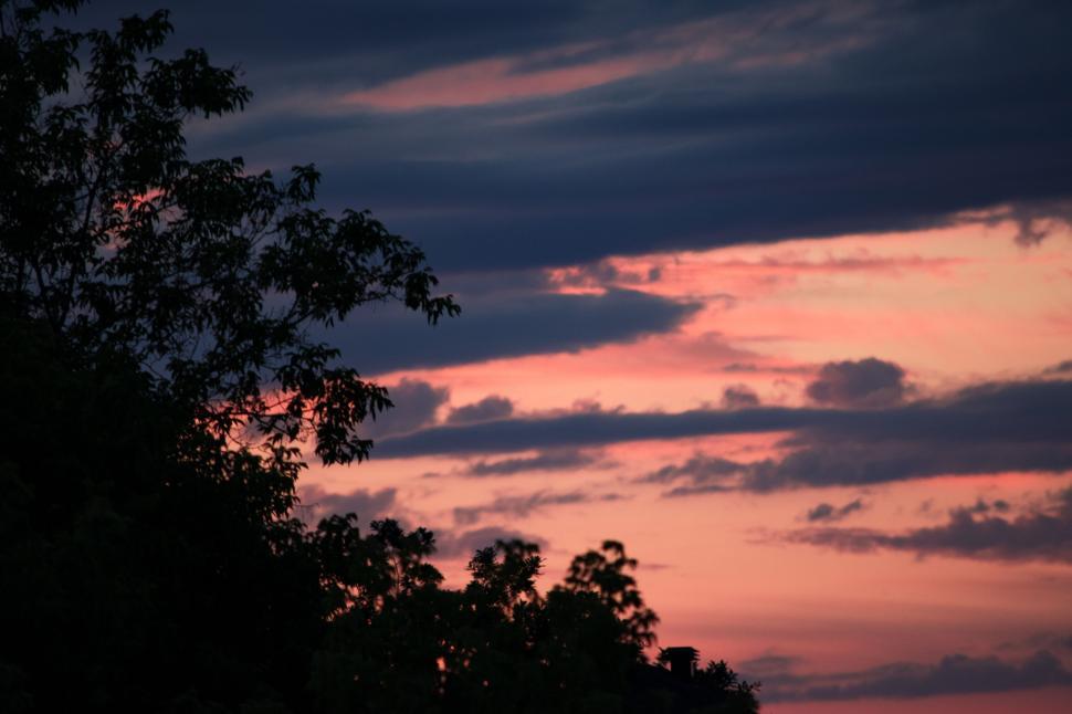 Free Image of Beautiful sunset with silhouetted tree in foreground. 