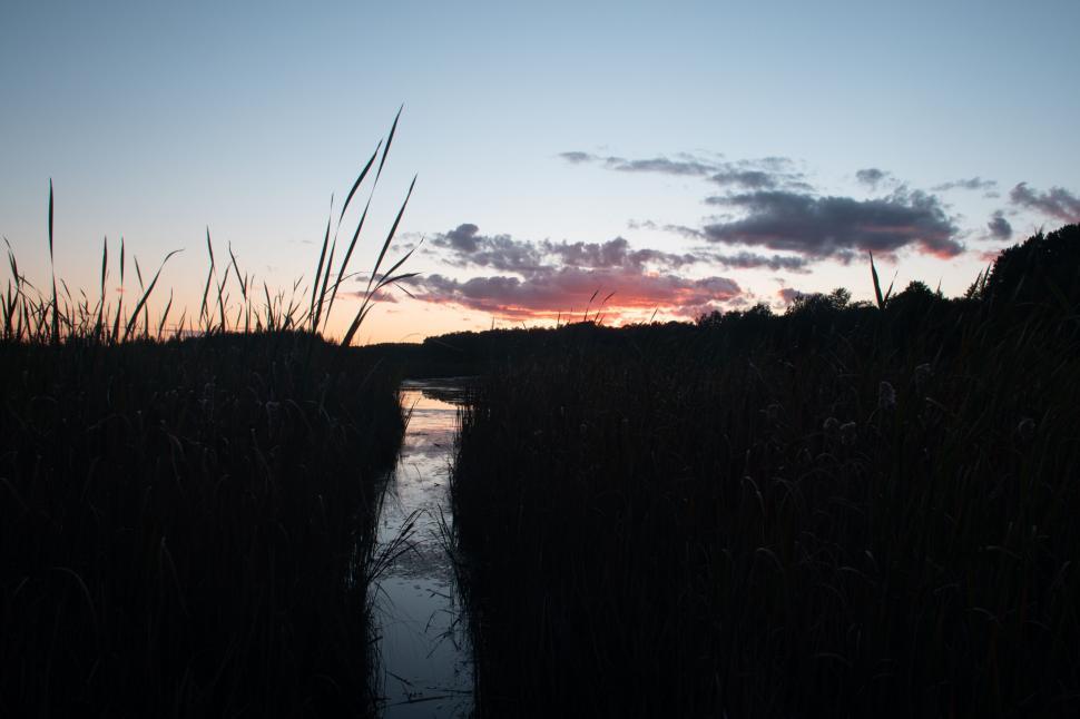 Free Image of Sunset over a tranquil marsh landscape with reflection. 