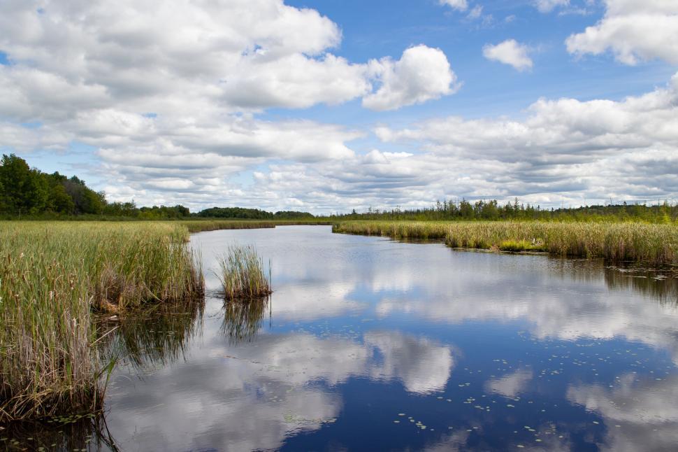Free Image of Calm River Flowing Through Marshland Under Blue Sky. 
