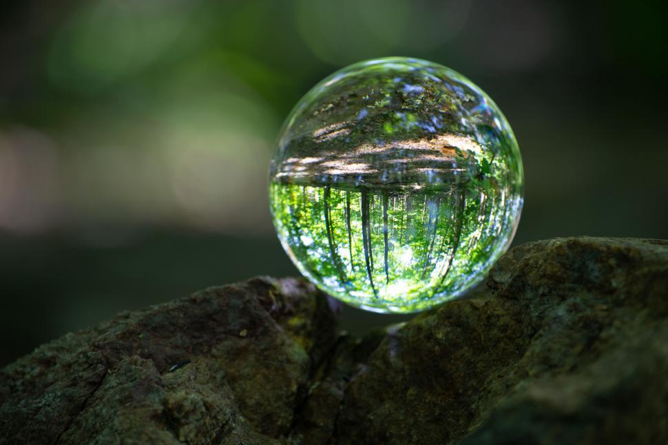 Free Image of Clear crystal ball reflecting lush forest landscape. 