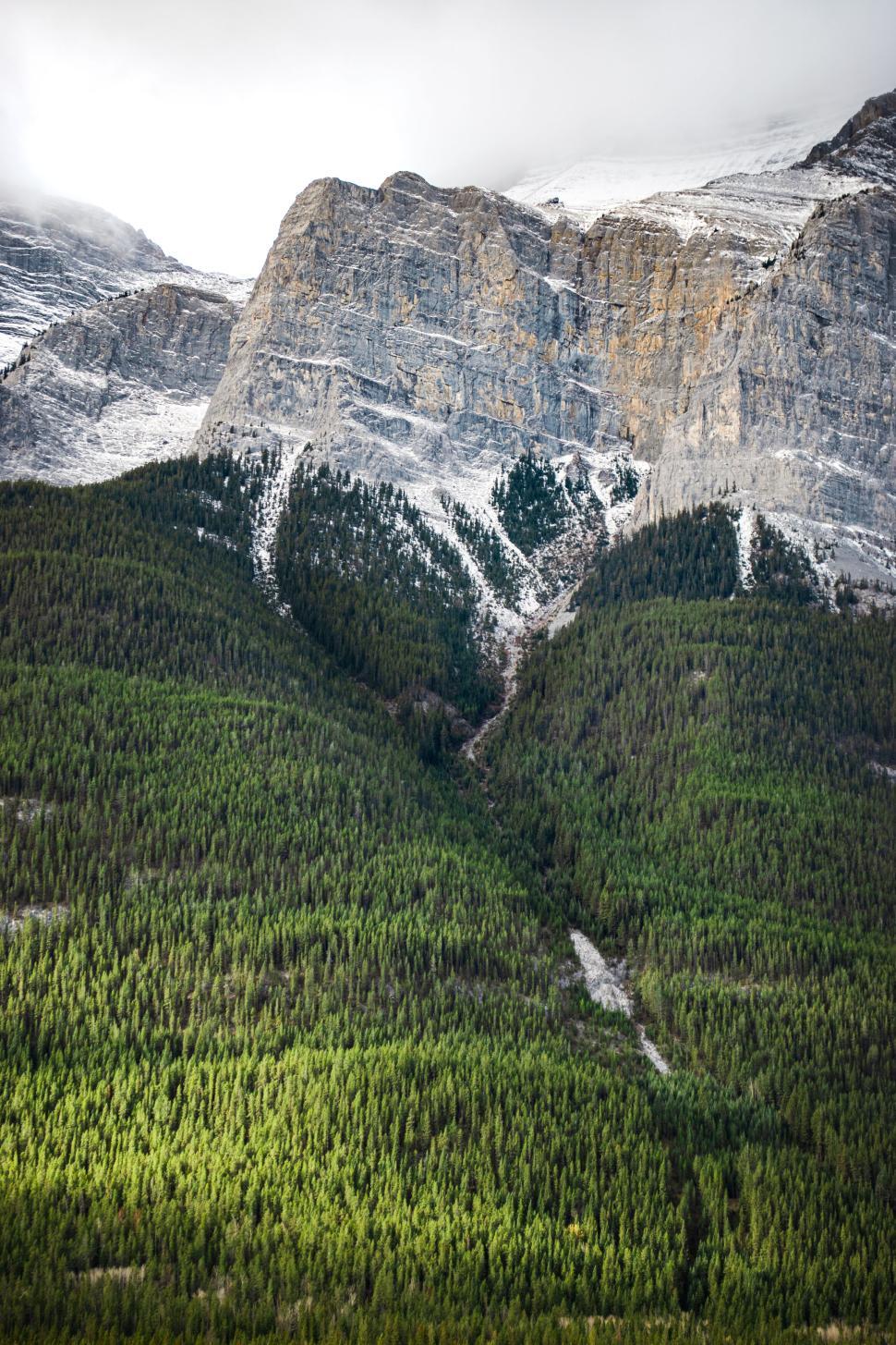Free Image of Majestic mountain with dense green forest below. 