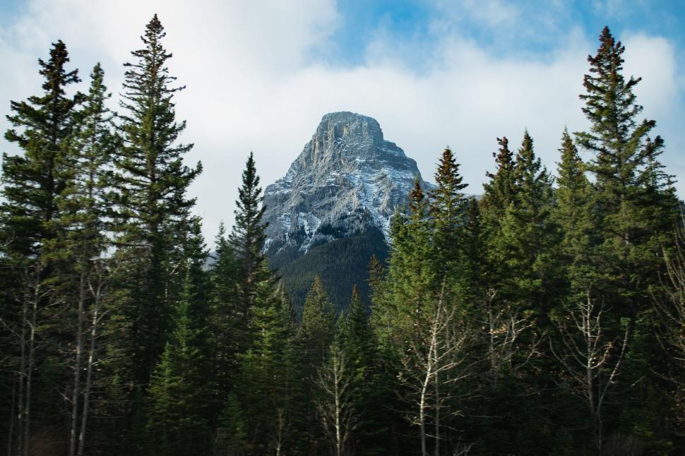 Free Image of A majestic mountain peak surrounded by dense forest 