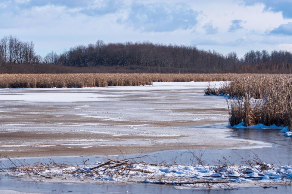 Free Image of Frozen lake with distant bare trees under a blue sky 