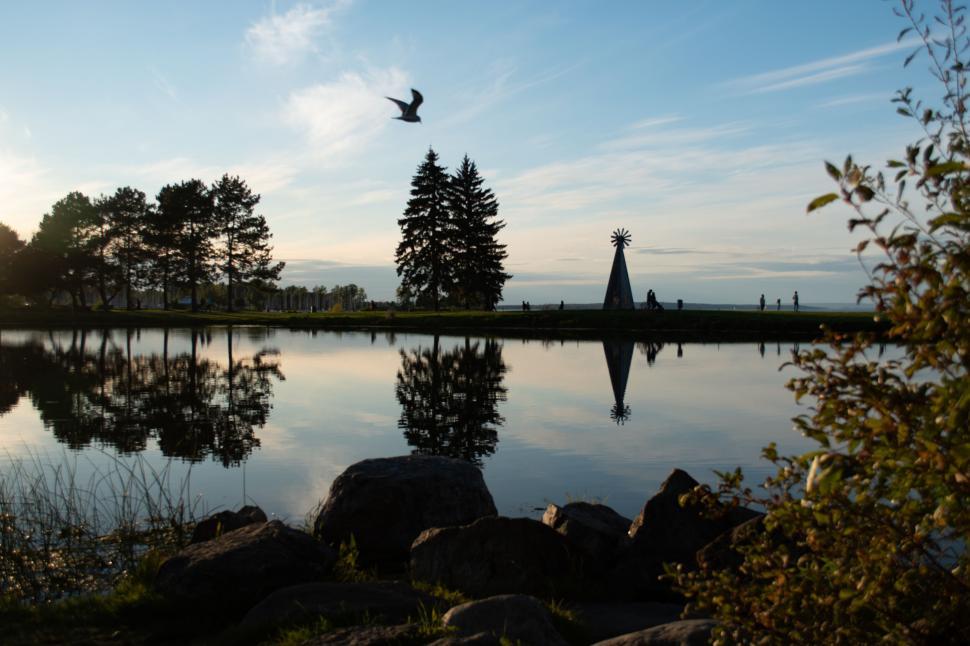 Free Image of Serene park with tall trees reflecting in calm water. 