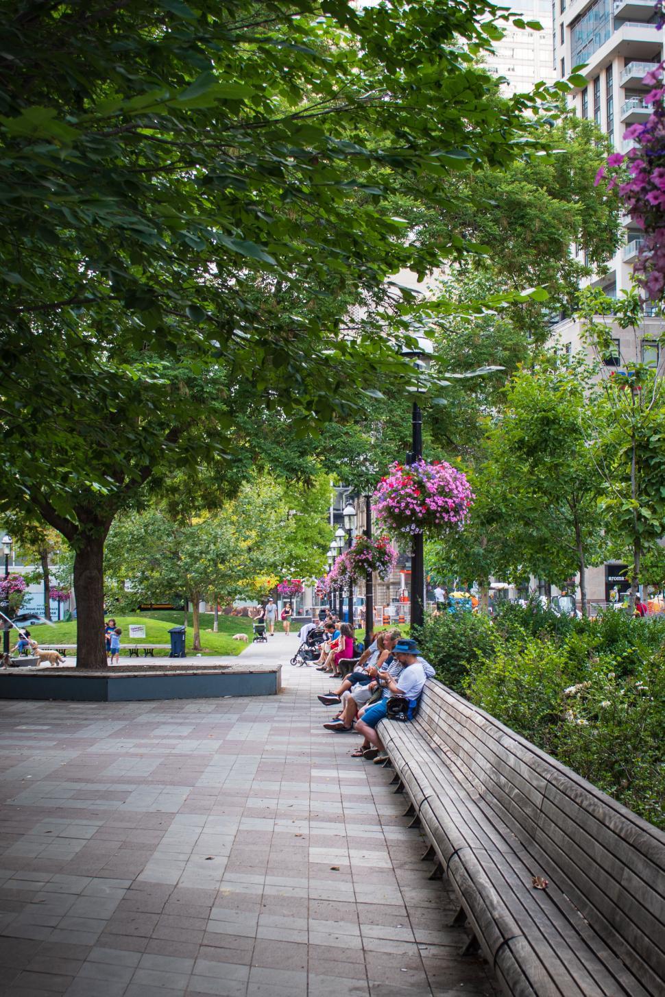 Free Image of Urban park bench seating area with blooming flowers around. 