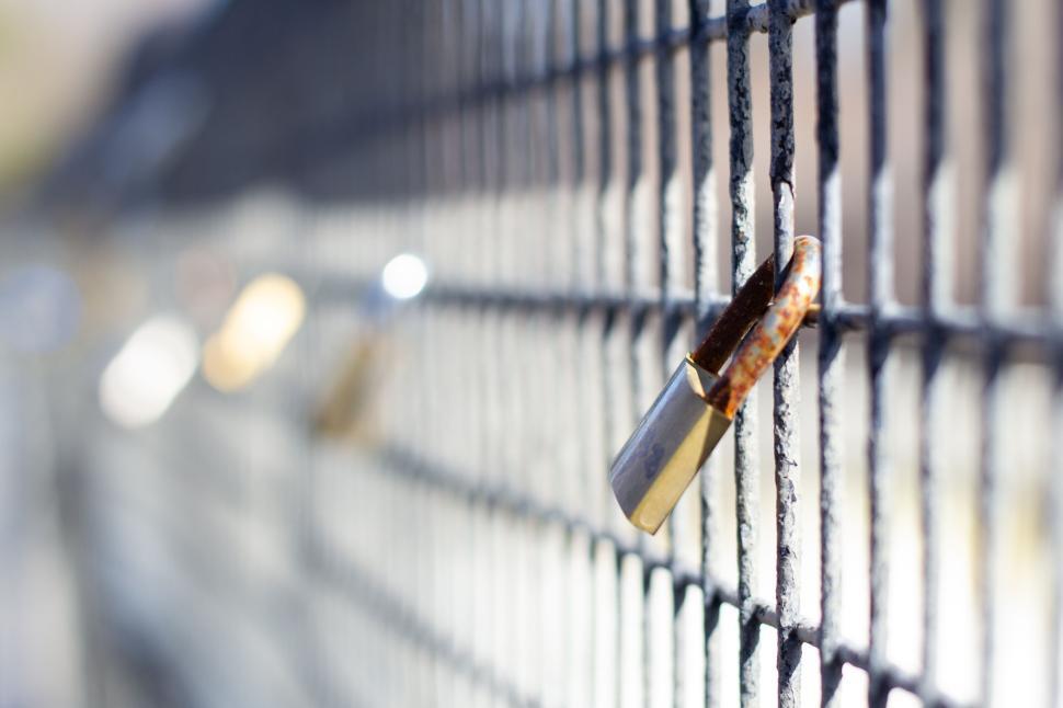 Free Image of Padlocks attached to a fence, creating unique patterns. 