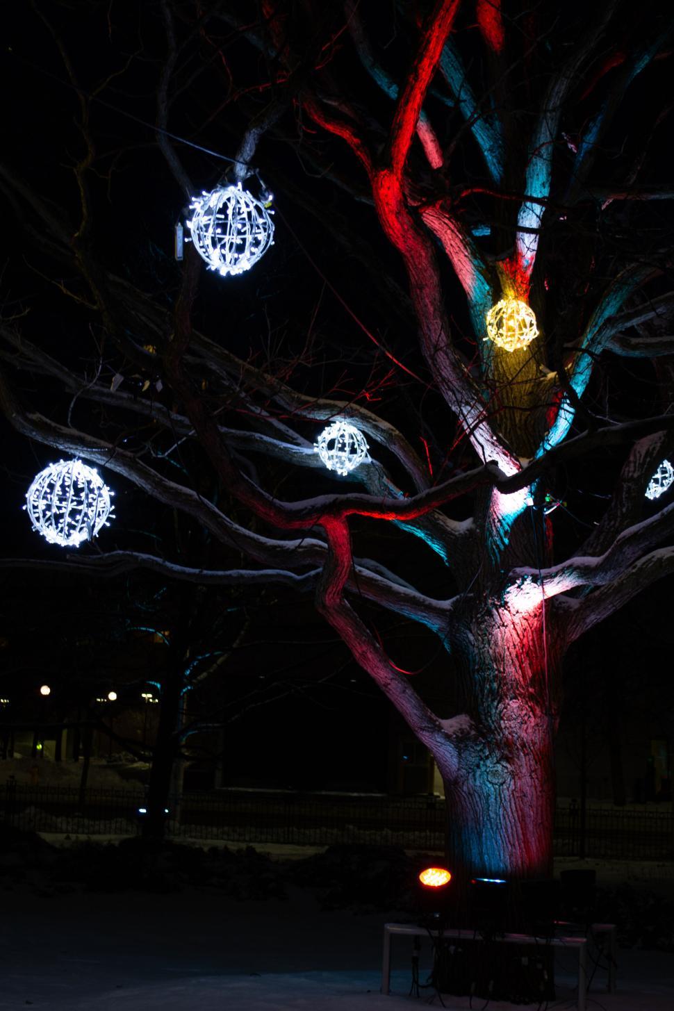 Free Image of Night tree with illuminated hanging ornaments colorful 
