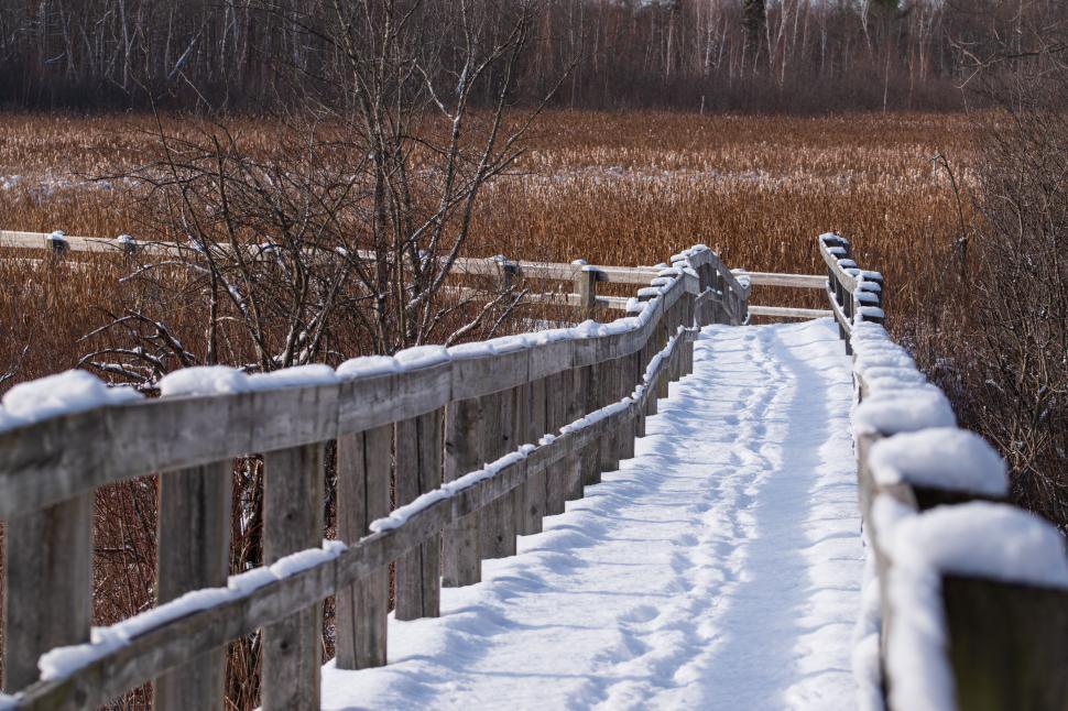 Free Image of Snow-covered wooden path through a marshland area 