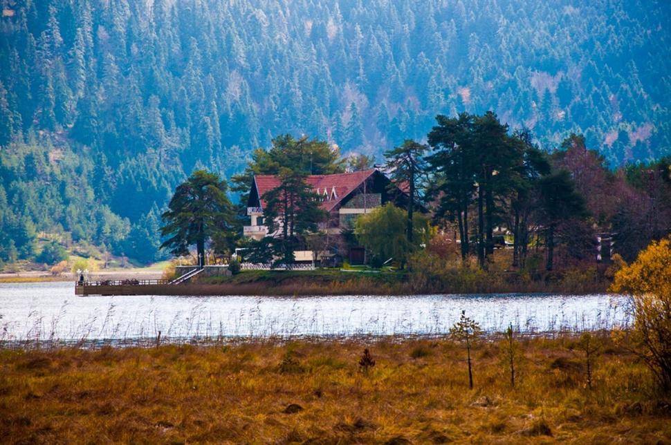 Free Image of Lakeside house with pine trees in mountainous area 