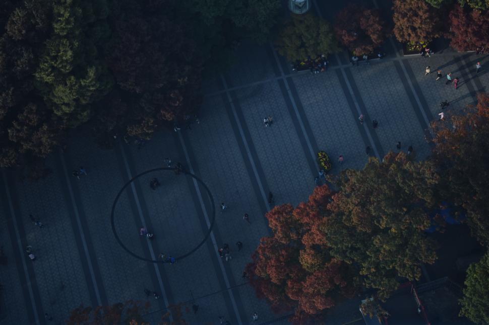 Free Image of Aerial view of urban plaza with autumn foliage around 