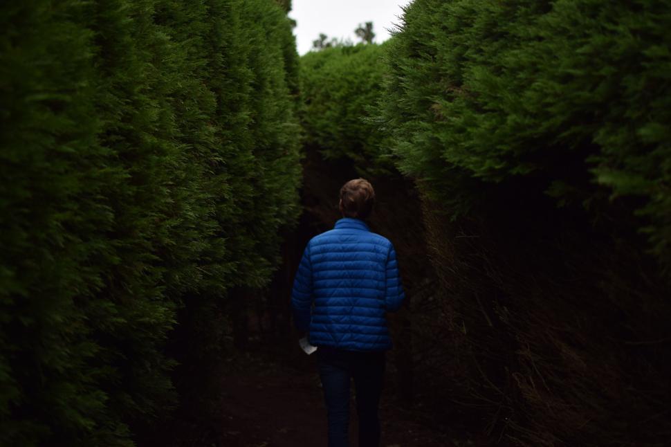 Free Image of Person in blue jacket walking through dense green hedge maze 