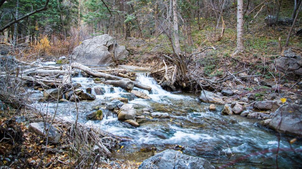 Free Image of Rushing stream in forest with vibrant autumn foliage. 