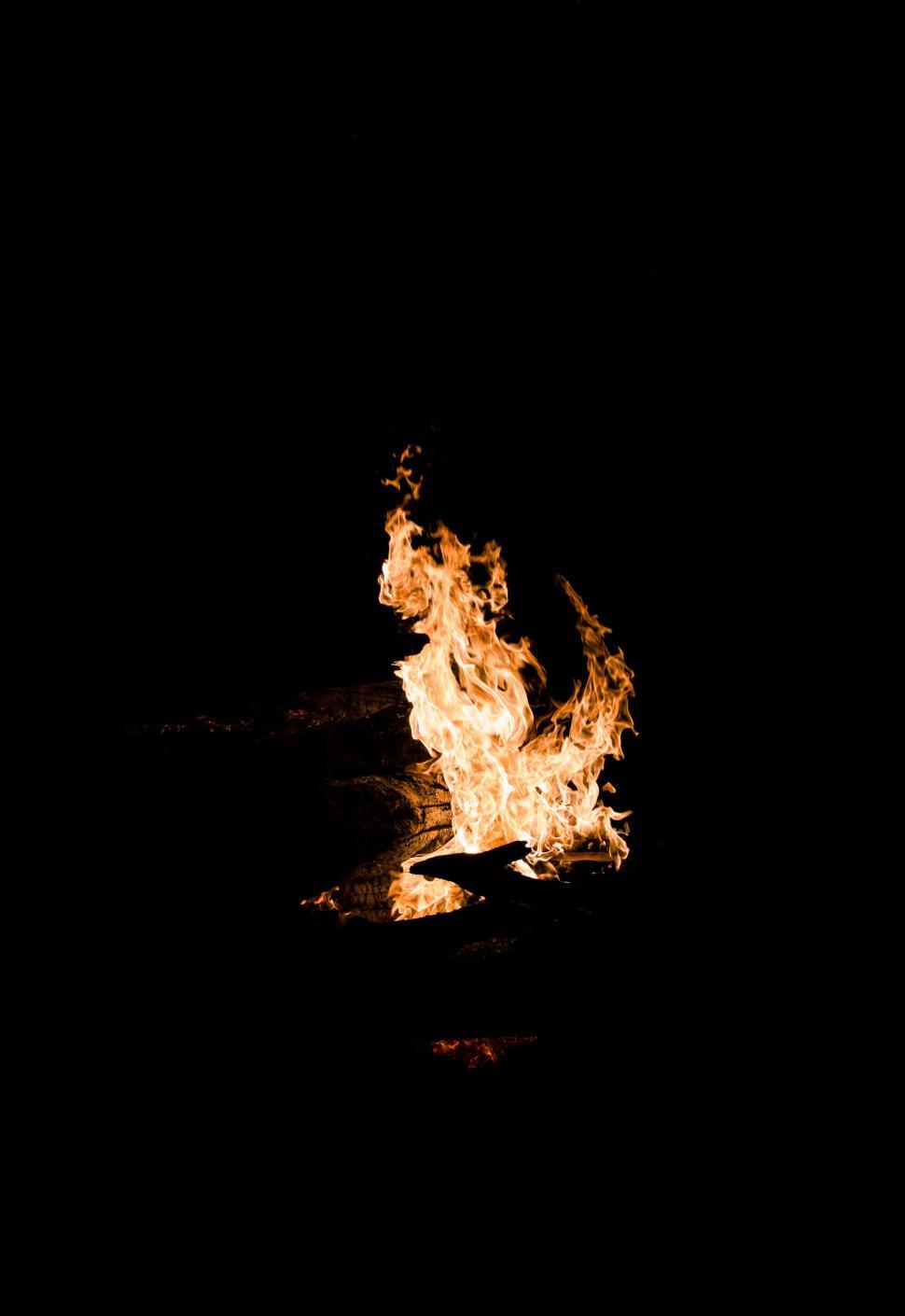 Free Image of Campfire blazing with bright orange flames in darkness 
