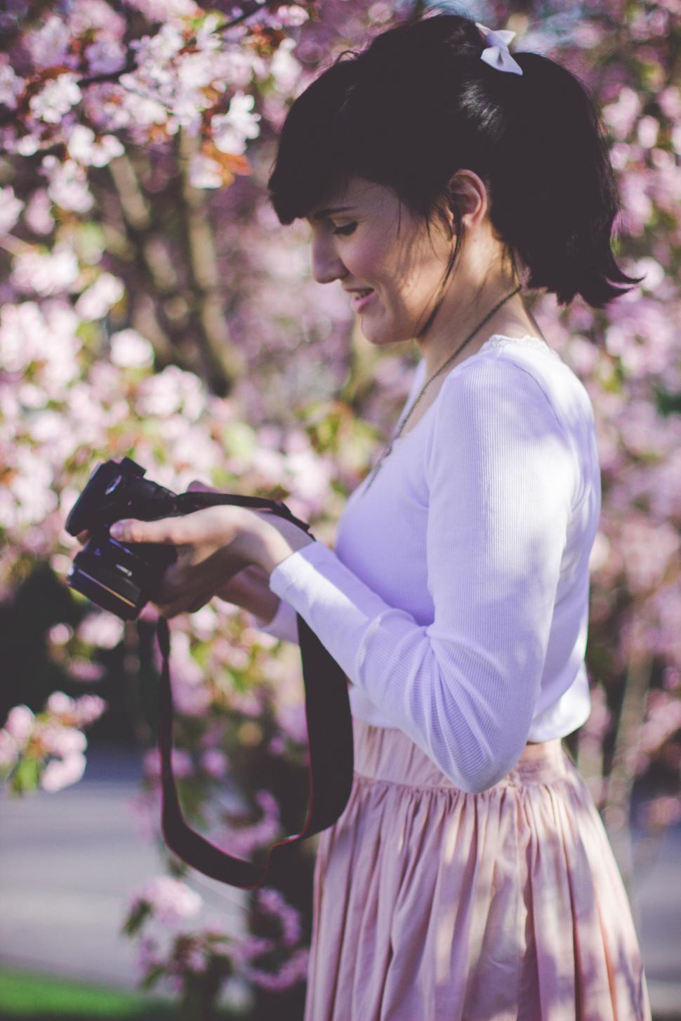 Free Image of Person with camera surrounded by blooming cherry blossoms. 