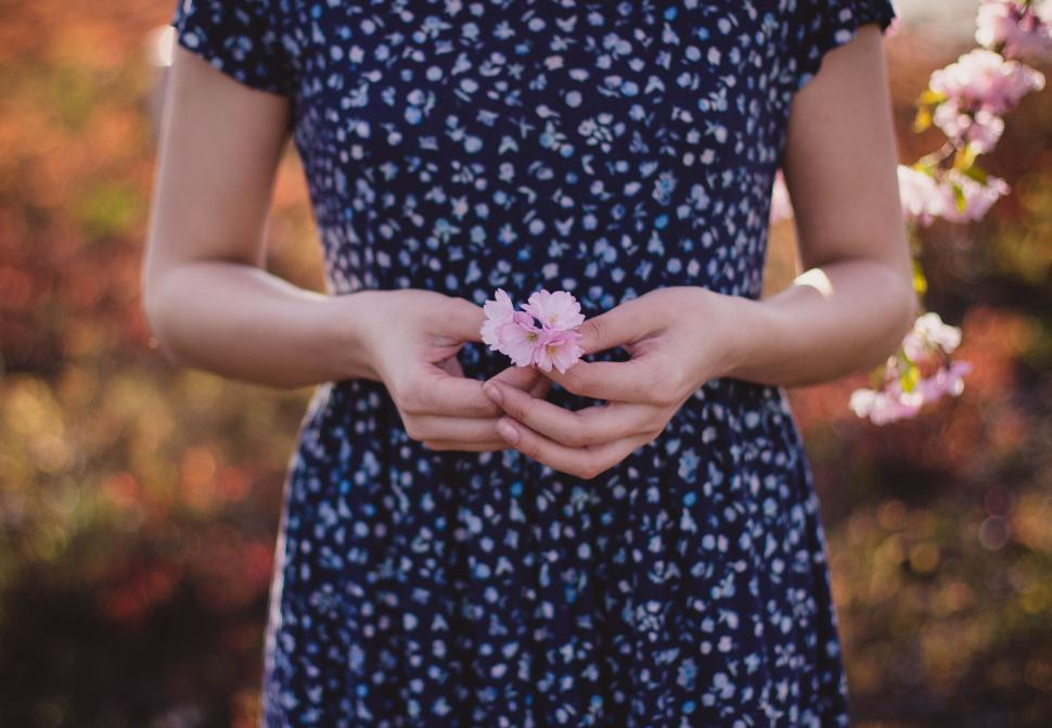 Free Image of Woman in blue dress holding a pink flower in hand 