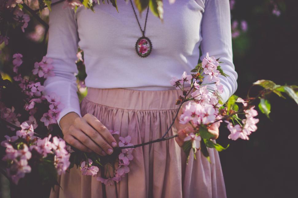 Free Image of Woman in white sweater holding cherry blossom branches 