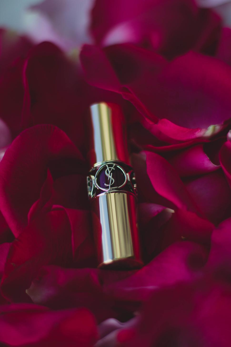 Free Image of Gold lipstick amidst red rose petals, luxury beauty. 