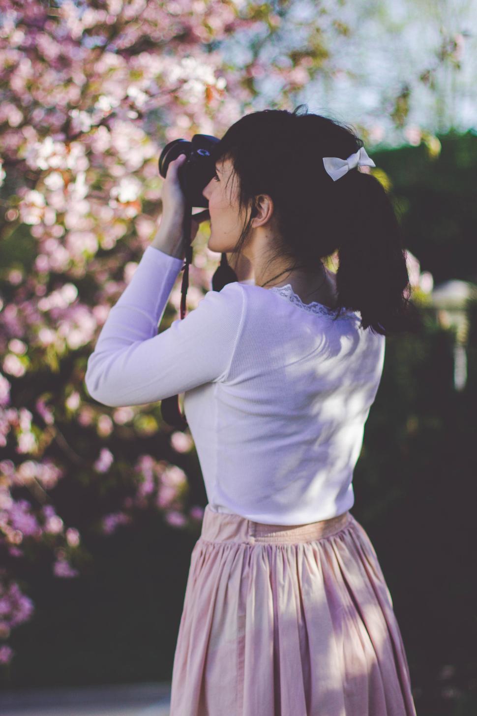 Free Image of Girl photographing with a camera amidst pink blossoms. 