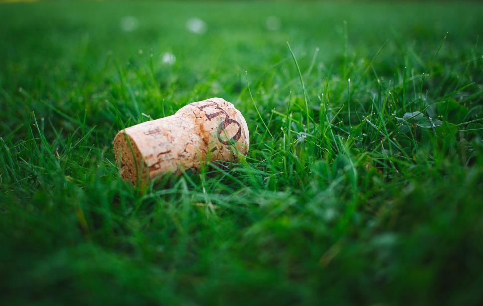 Free Image of Cork on green grass symbolizing celebration outdoors. 