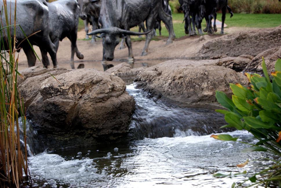 Free Image of Bronze statue of a bull drinking from a river 