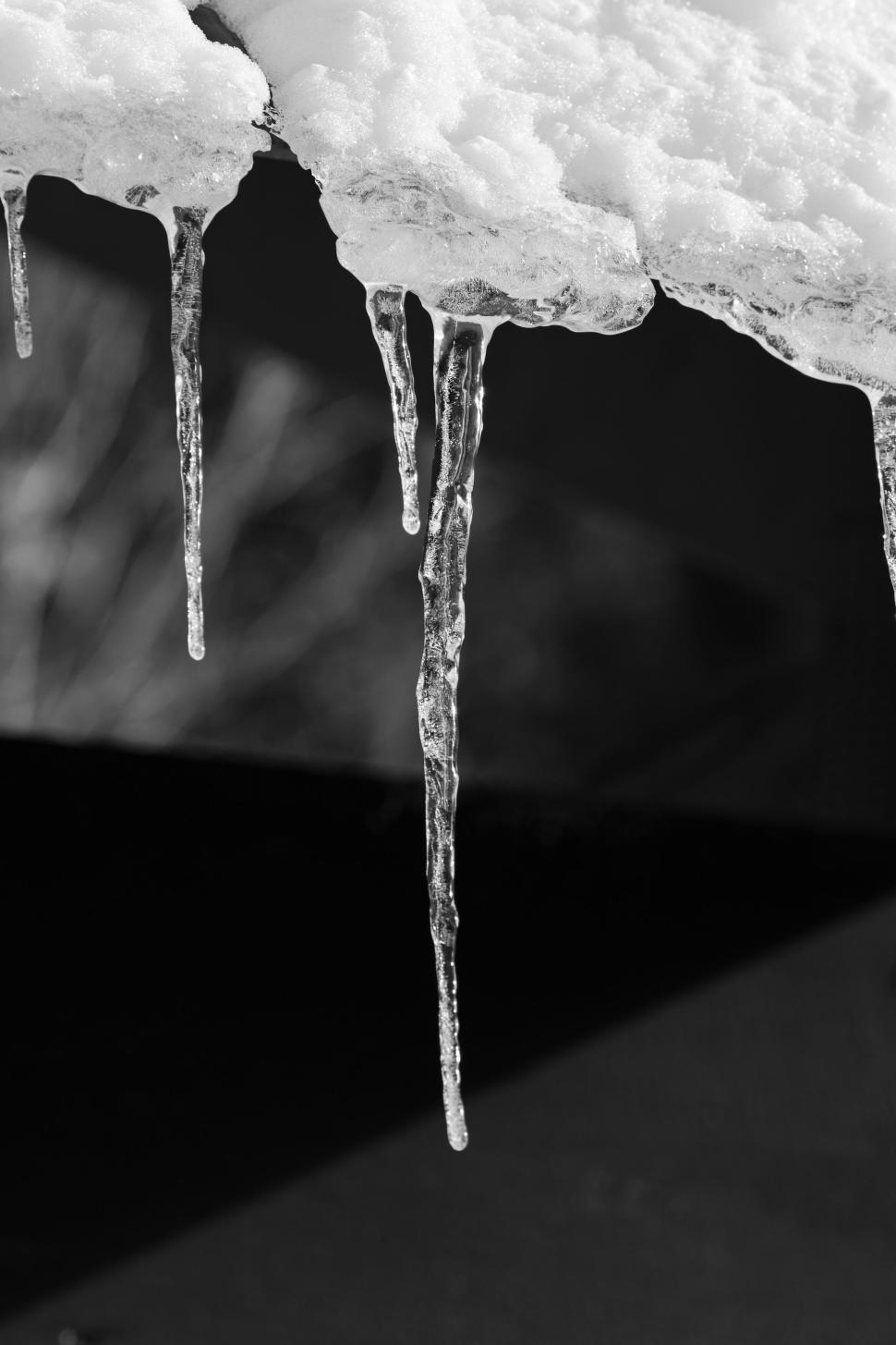 Free Image of Monochrome icicles hanging under a snowy outdoor surface. 
