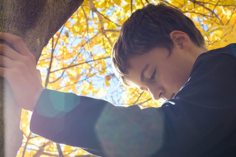 Free Image of Person embracing tree with sunlight filtering through leaves. 