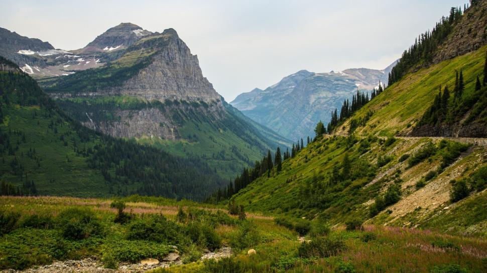 Free Image of Majestic mountain valley covered in lush green plants. 
