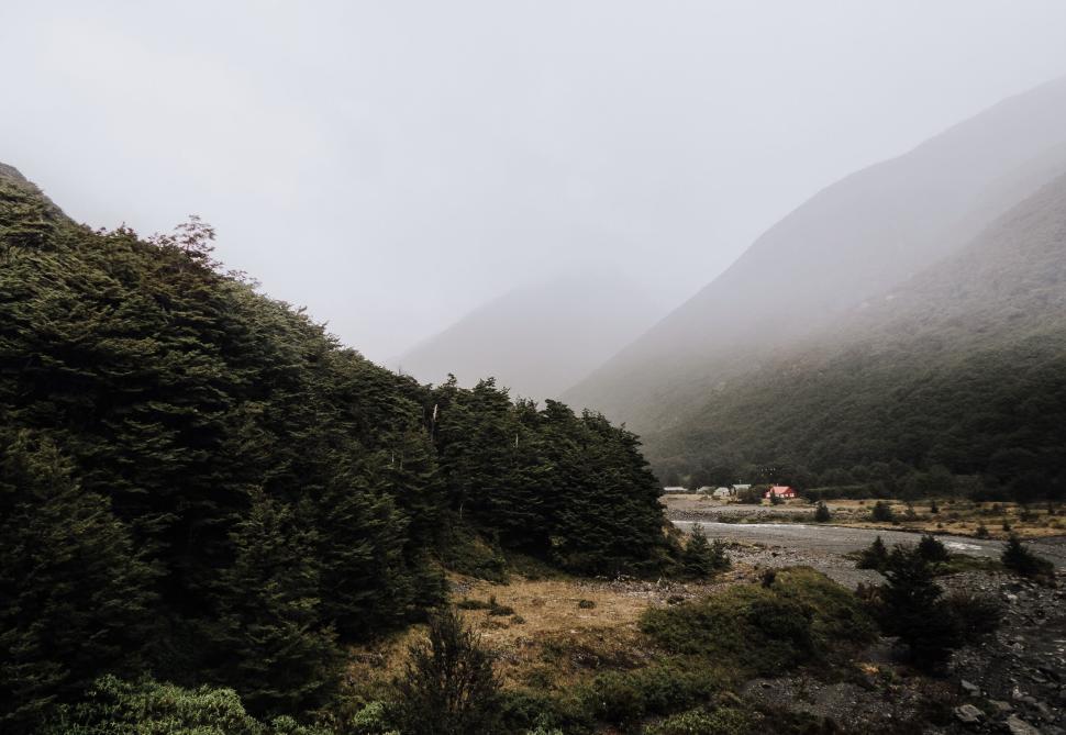 Free Image of Foggy mountain valley filled with dense greenery and trees. 