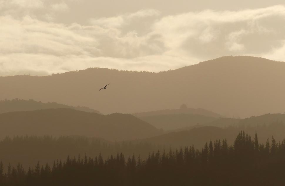 Free Image of Solitary bird flying over dusky mountain range scene. 