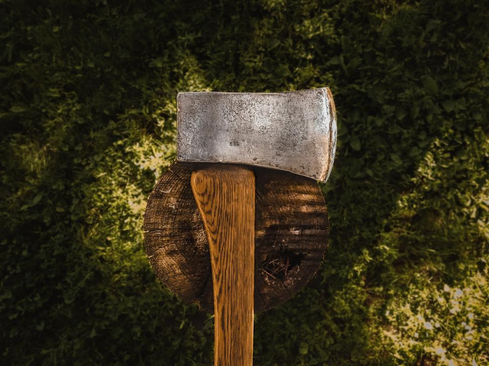 Free Image of Axe embedded in a log with lush green grass background. 