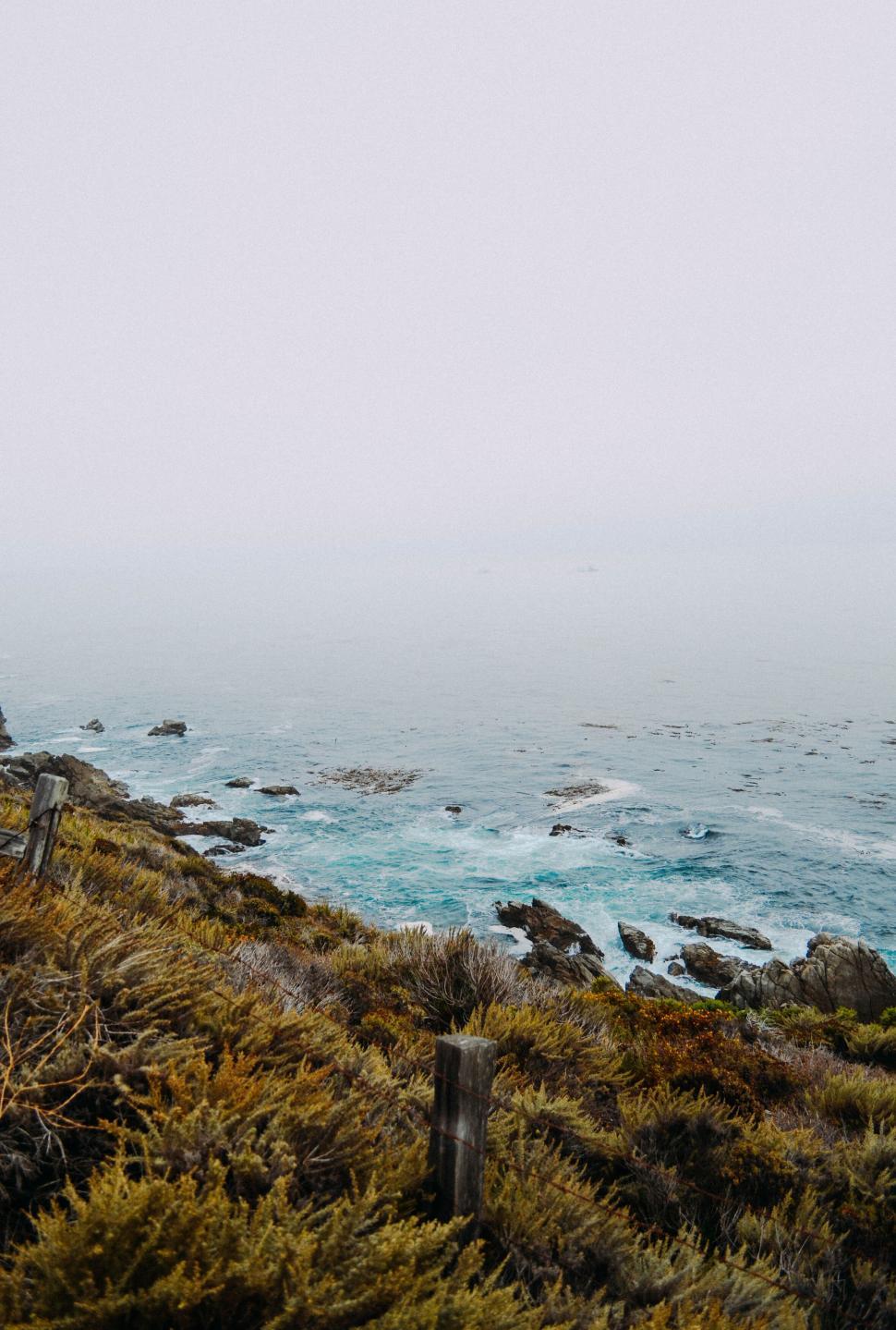 Free Image of Coastal view with vegetation on cliffs and crashing waves. 