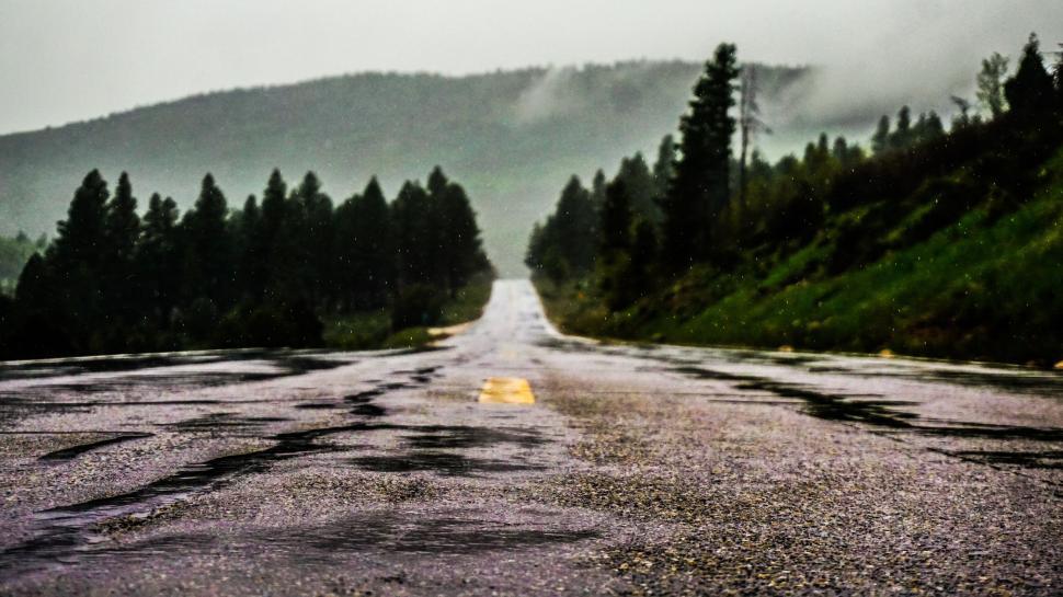 Free Image of Wet mountain road disappearing into misty forest scenery 