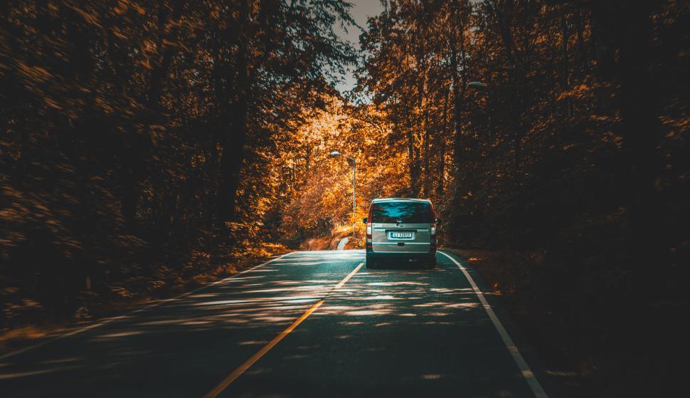 Free Image of Car driving on scenic forest road during autumn season 