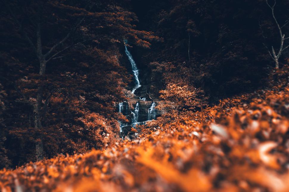 Free Image of Waterfall cascading through lush forest during autumn 
